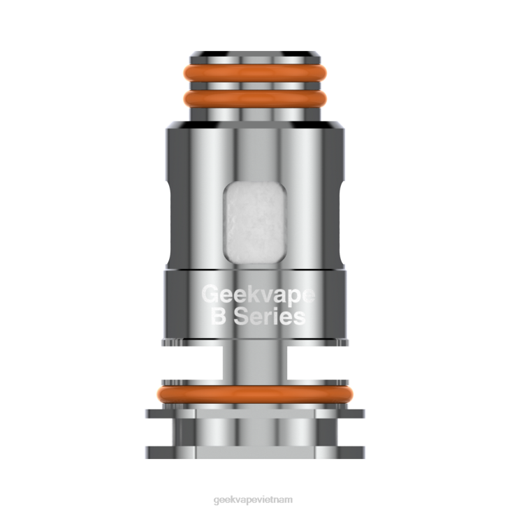 GeekVape For Sale - b0.3 ồm GeekVape 5 cái/gói cuộn dây dòng b 22F28